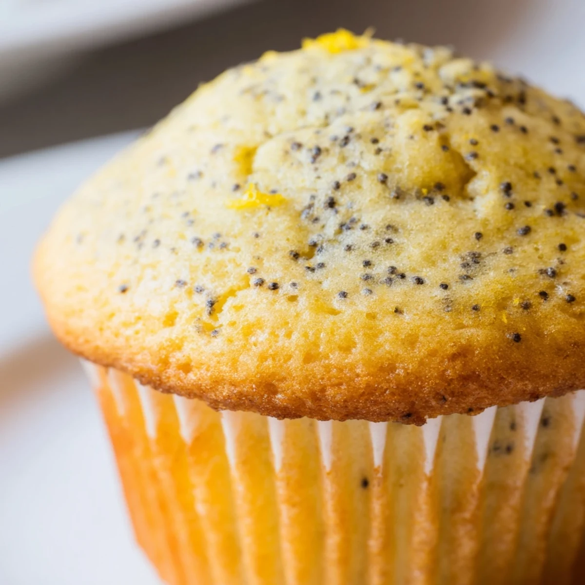 Golden lemon poppy seed muffins with domed tops fresh from the oven on a wire cooling rack.